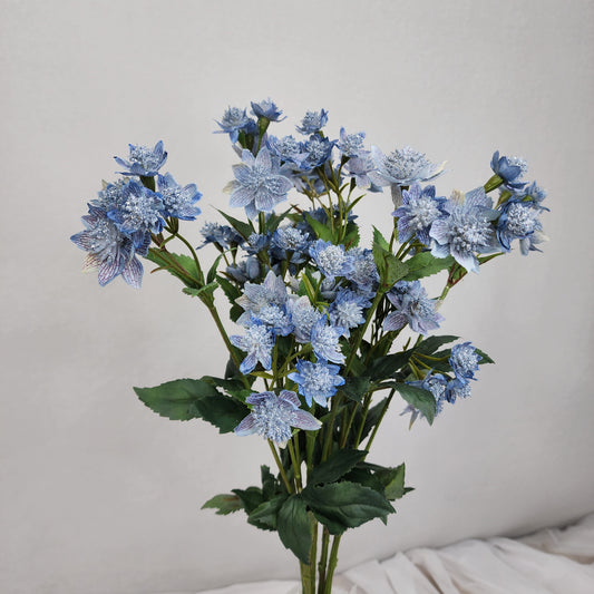 Astrania Dusty Blue - Realistic Artificial Flowers