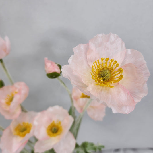 Icelandic Light Pink Poppies - Realistic Artificial Flowers