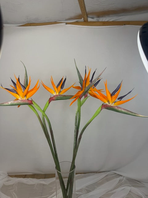 Bird of Paradise - Realistic Artificial Flowers