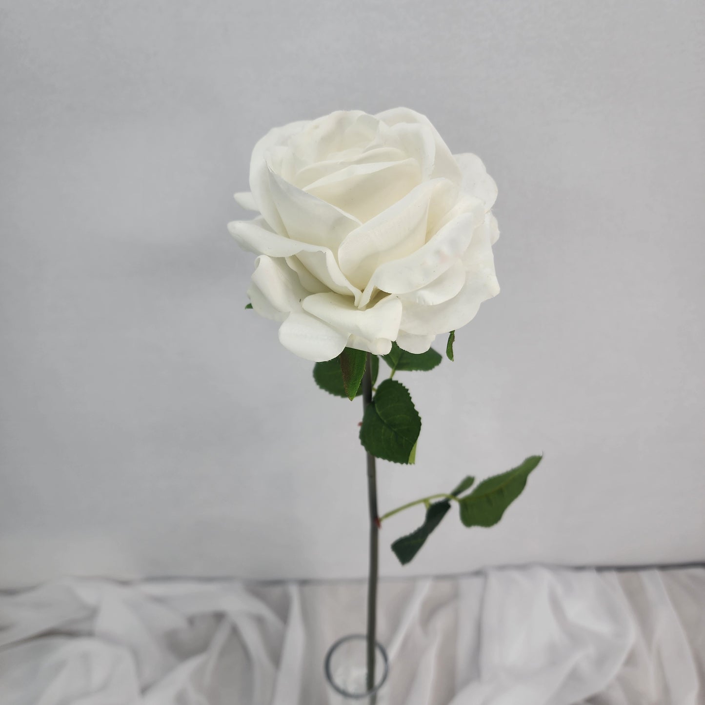 White Royal Real Touch Rose