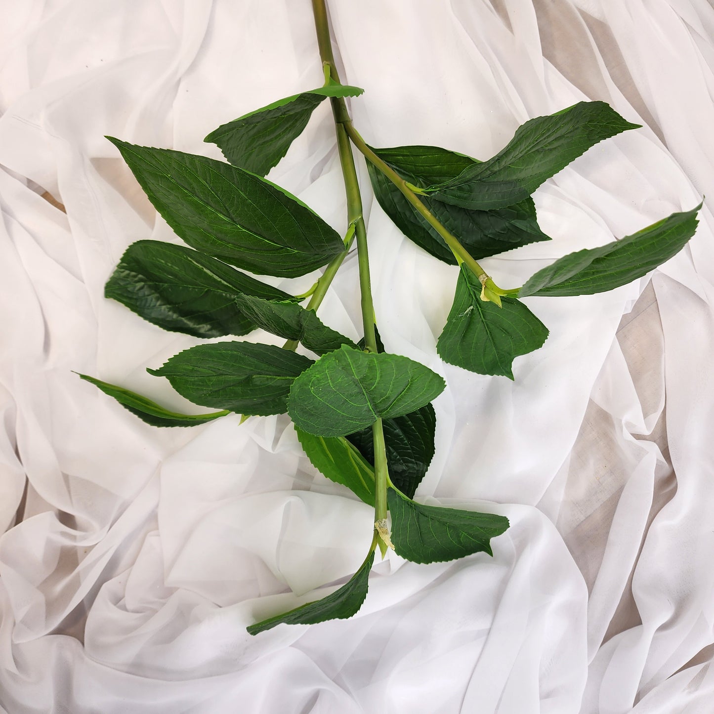 Hydrangea Leaf Spray