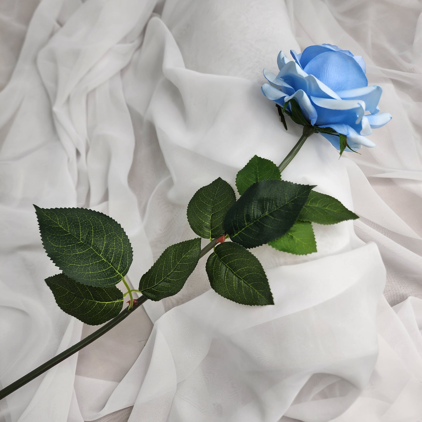 Ice Blue Royal Real Touch Rose