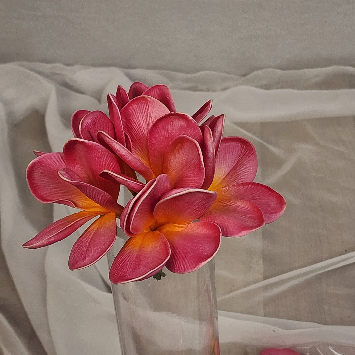 Fiji Frangipani Flowerhead ( 6 Pack )