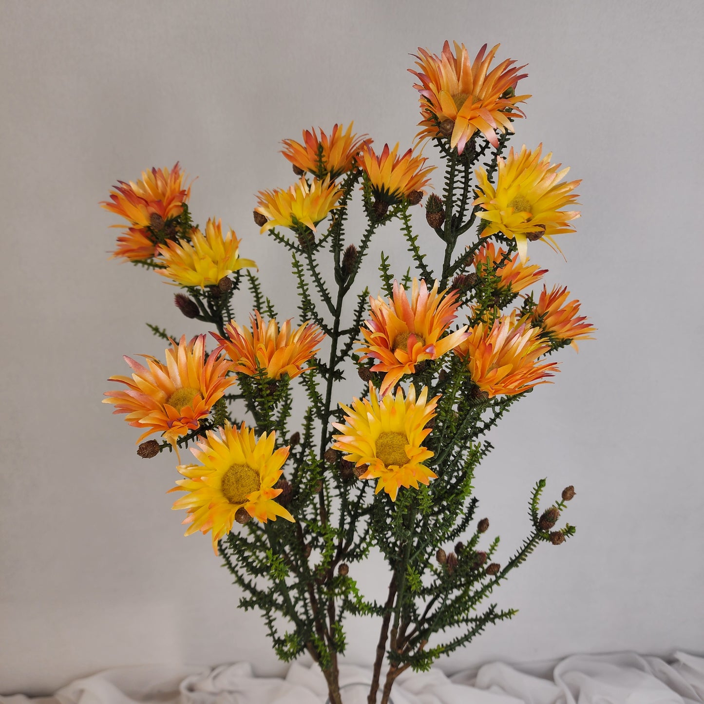 Desert Daisy Orange- Kaaps Flower , Realistic Artificial Flowers