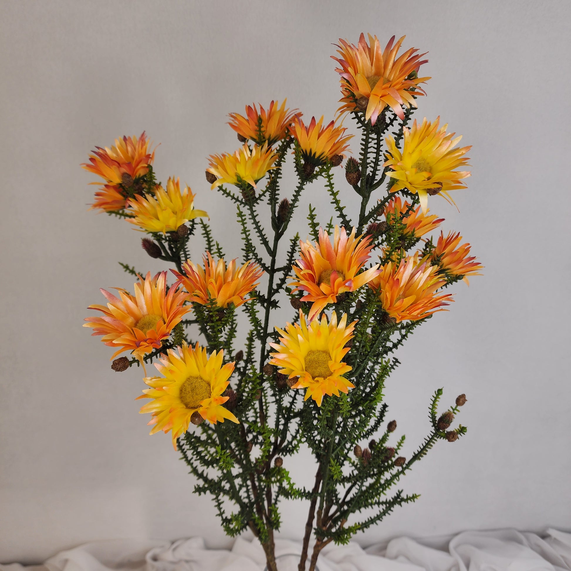 Desert Daisy Orange- Kaaps Flower , Realistic Artificial Flowers
