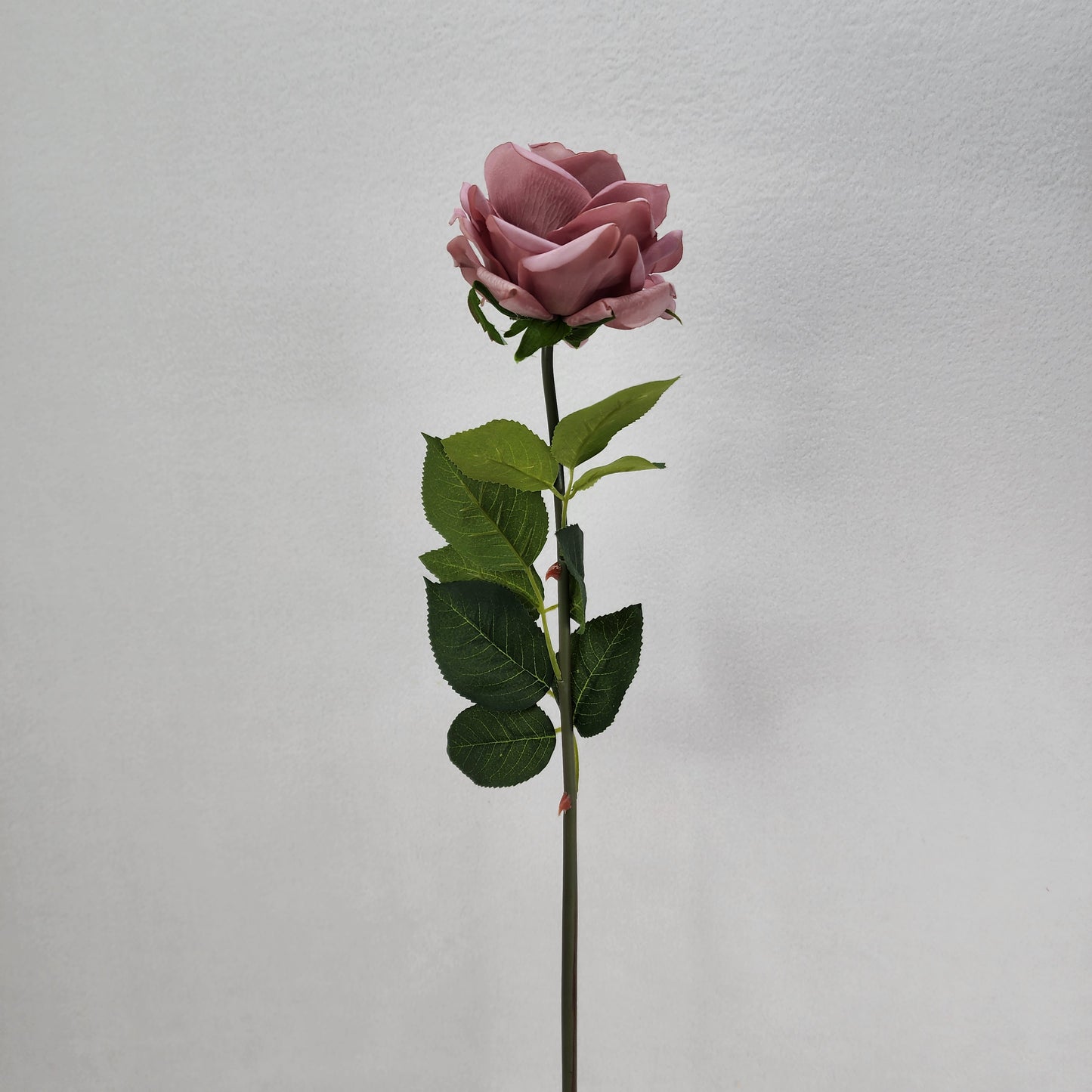 Dusty Pink Royal Real Touch Rose