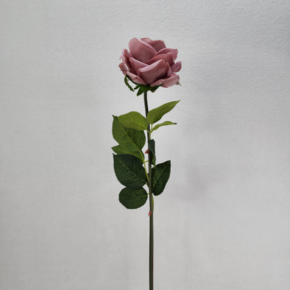 Dusty Pink Royal Real Touch Rose