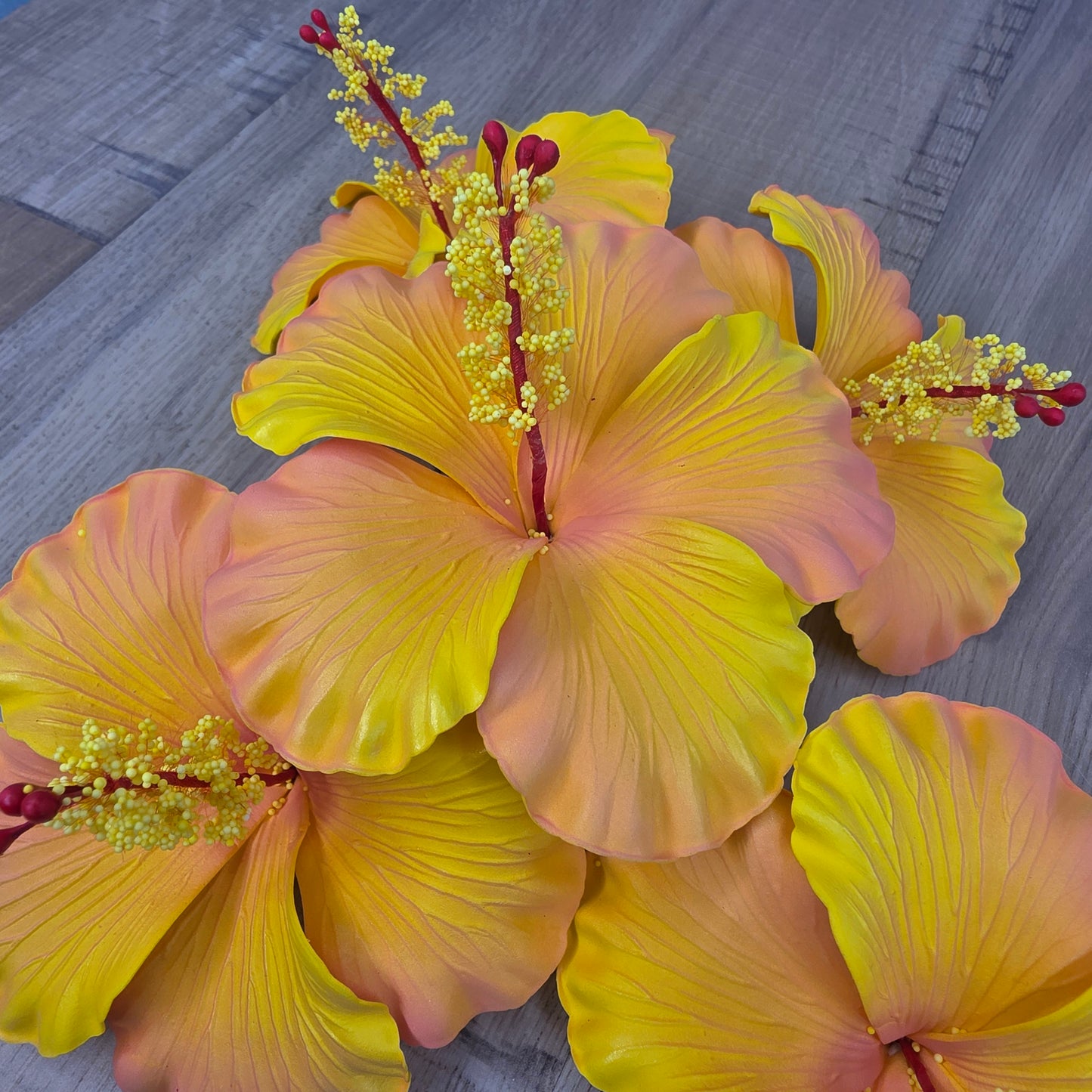 Peach Hibiscus 11.5 cm Flowerhead