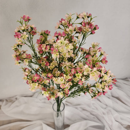 Wax Flower Spray Pale Pink - Realistic Artificial Flowers