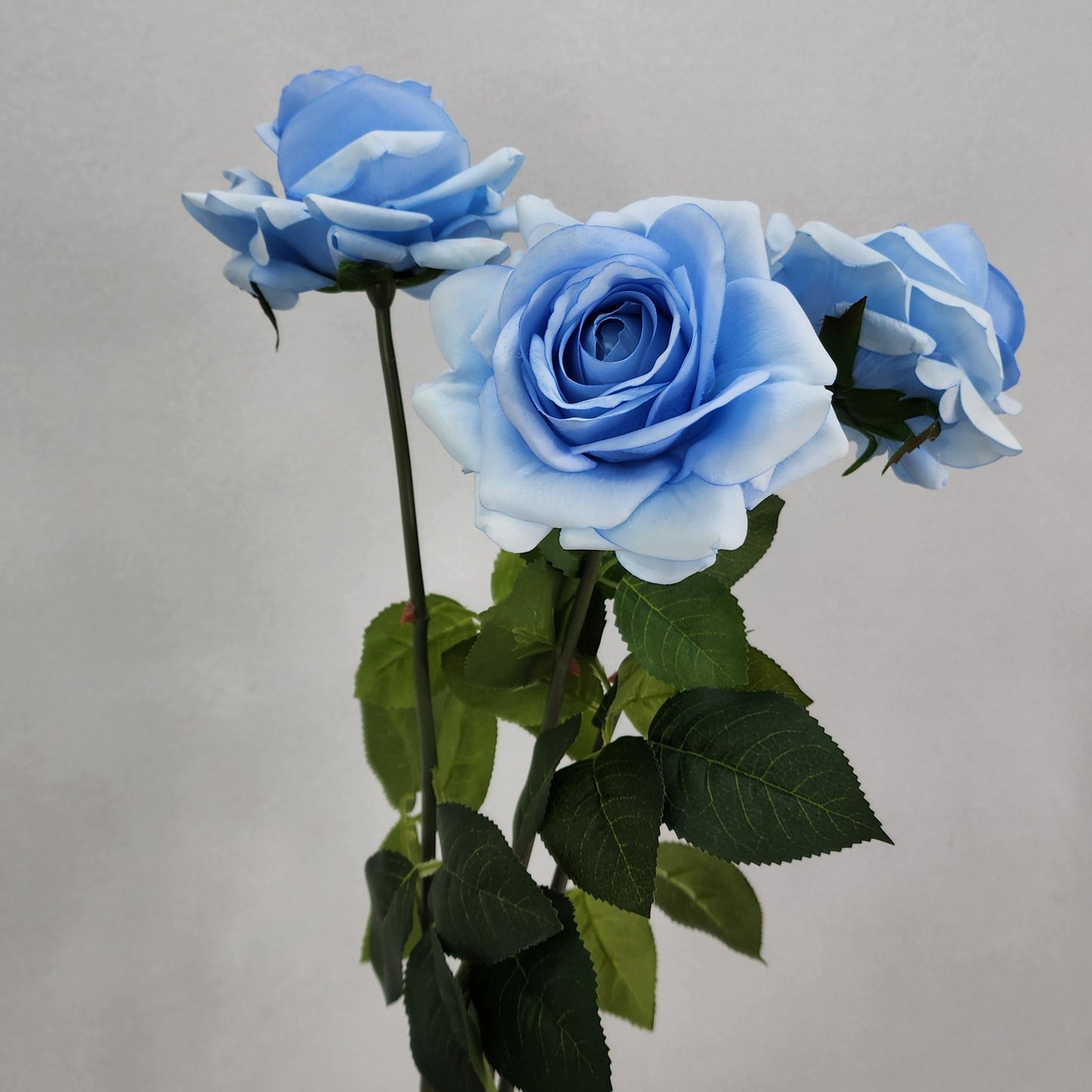 Ice Blue Royal Real Touch Rose