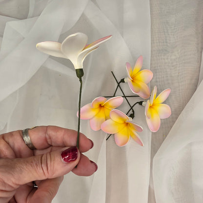 Pink/White/Yellow Frangipani 7cm Flowerhead