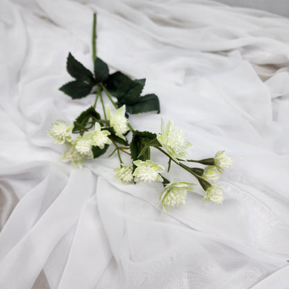 Astrania White- Realistic Artificial Flowers