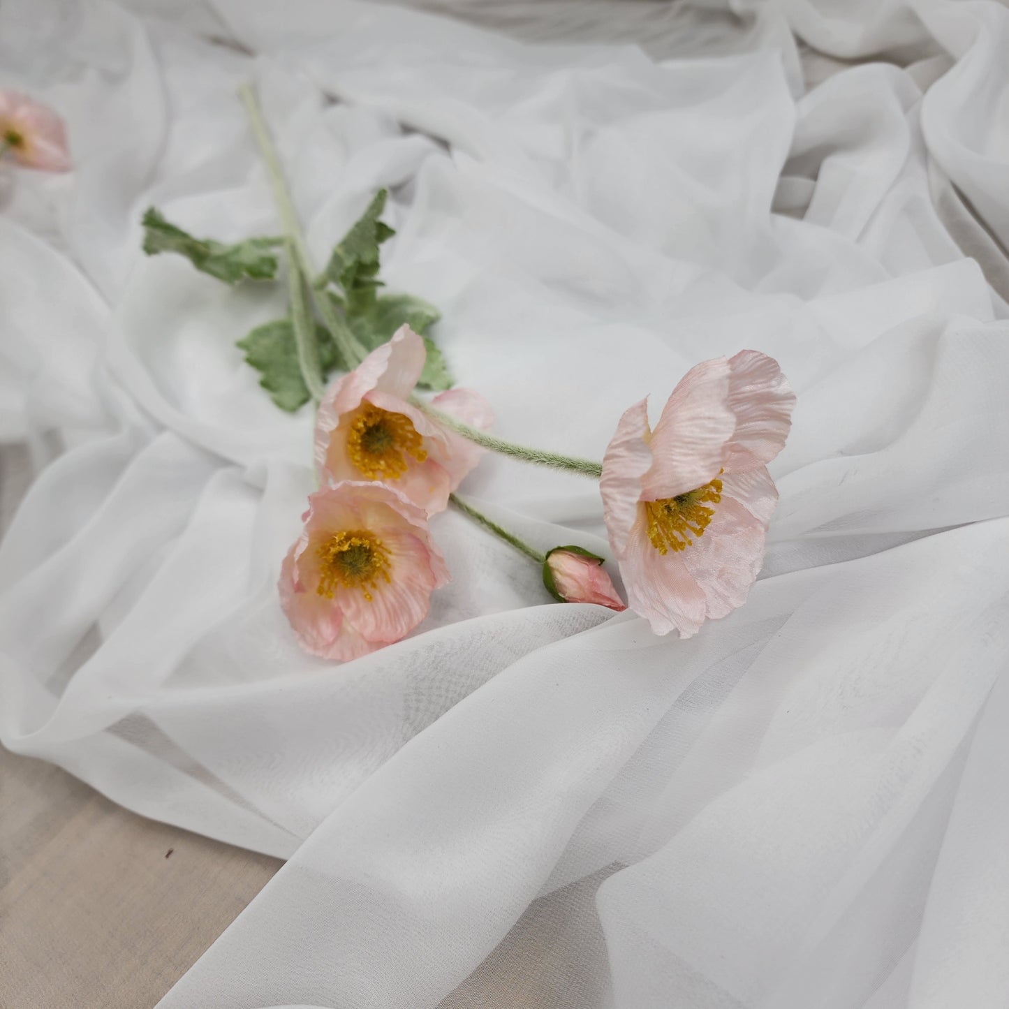 Icelandic Poppies - Light Pink