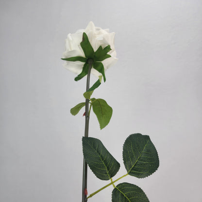 White Royal Real Touch Rose