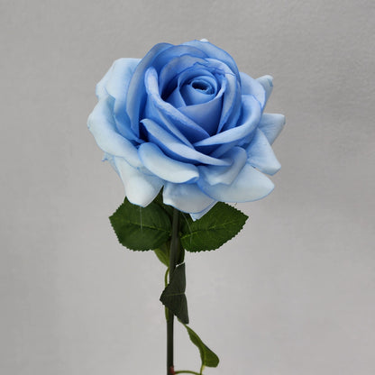 Ice Blue Royal Real Touch Rose
