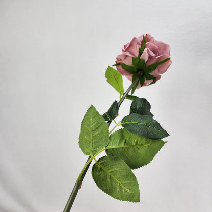 Dusty Pink Royal Real Touch Rose