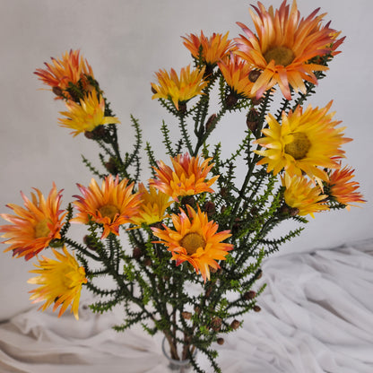 Desert Daisy Orange- Kaaps Flower , Realistic Artificial Flowers