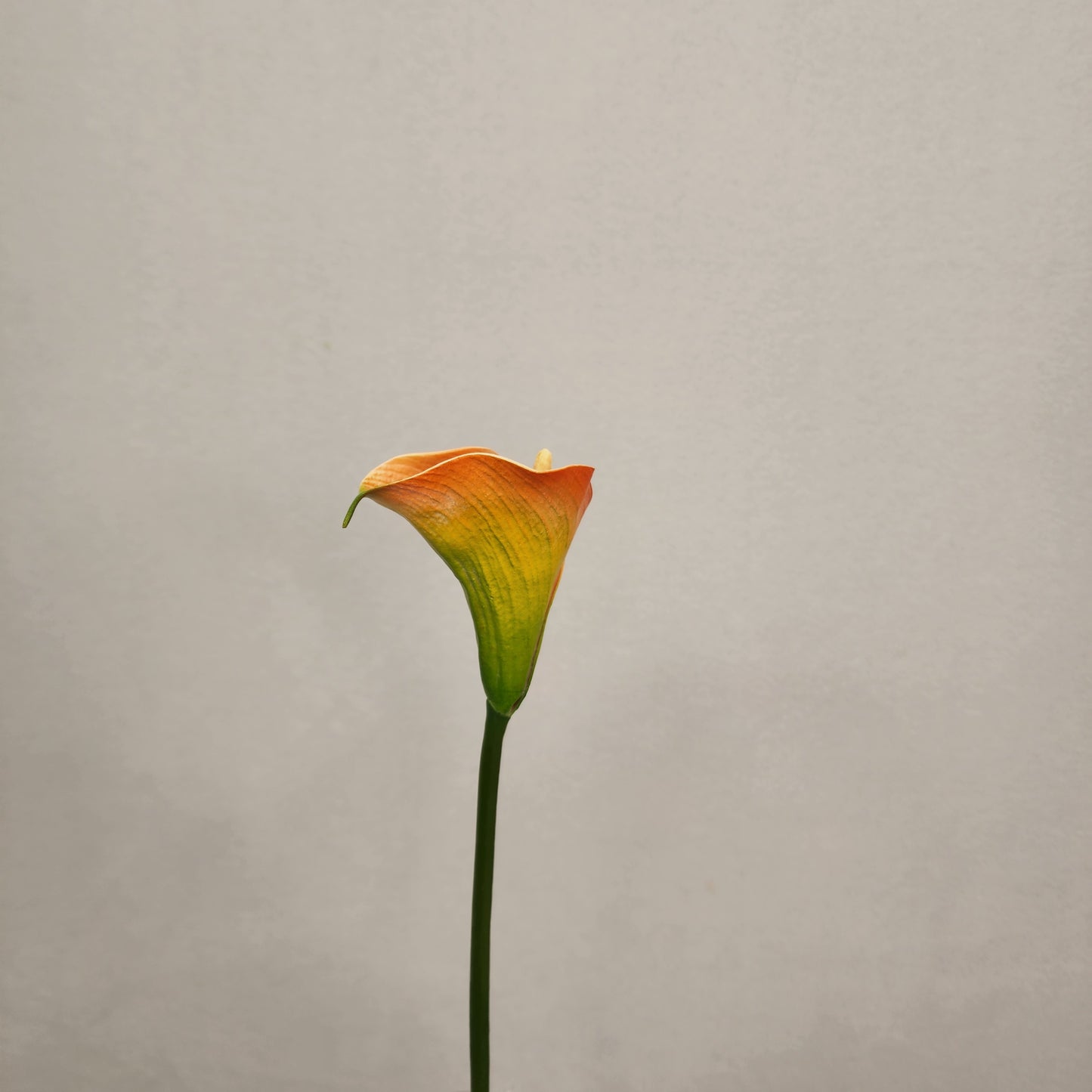 Orange Mini Calla Lily  - Realistic Artificial Flowers