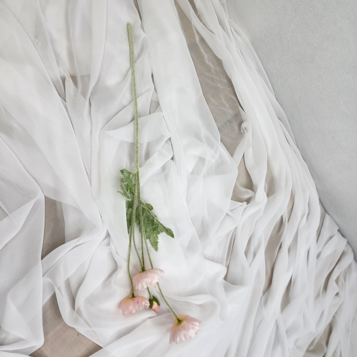 Icelandic Poppies - Light Pink