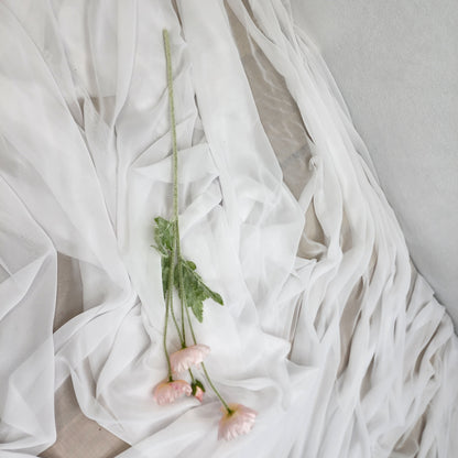 Icelandic Poppies - Light Pink