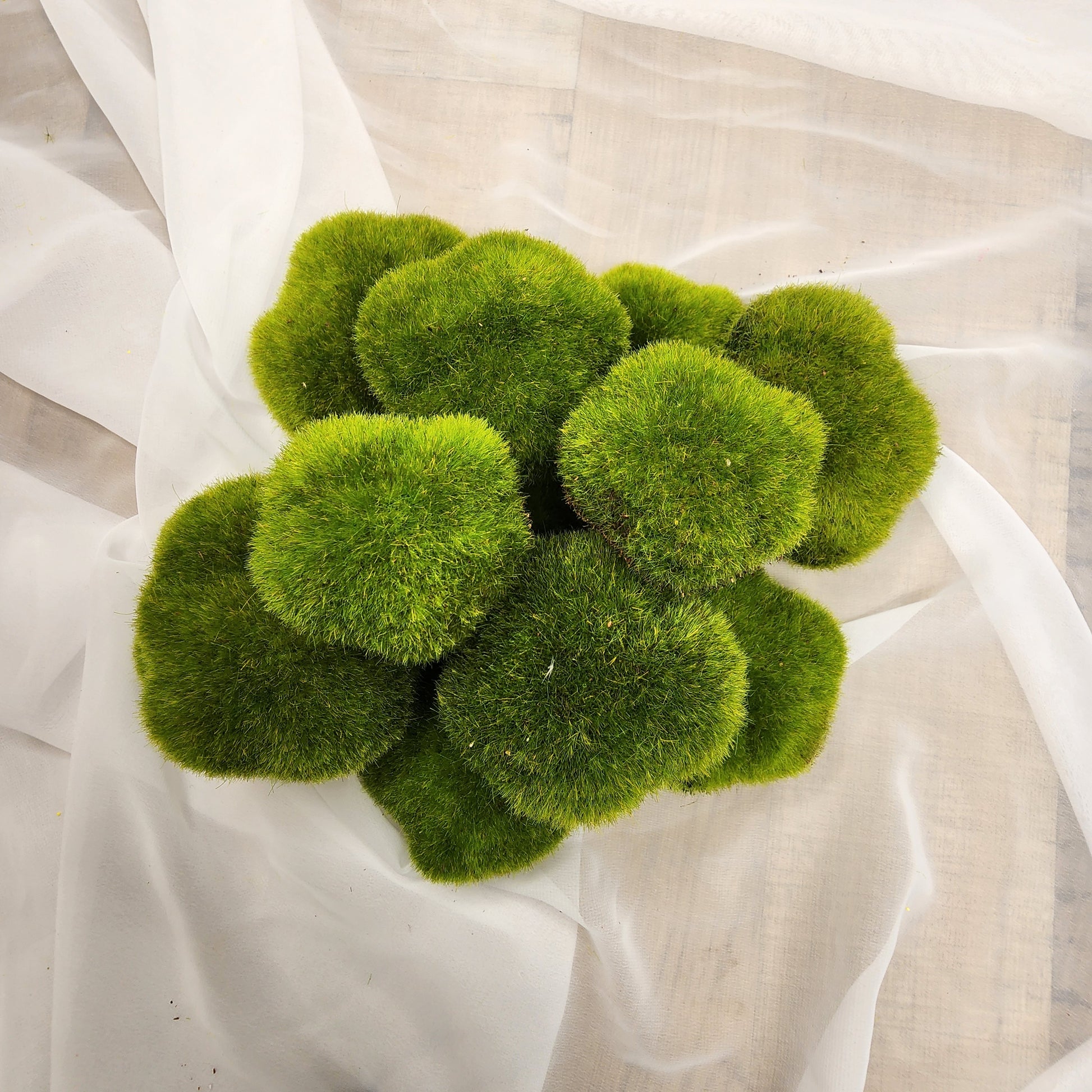Moss Rocks Artificial - Realistic Artificial Greenery