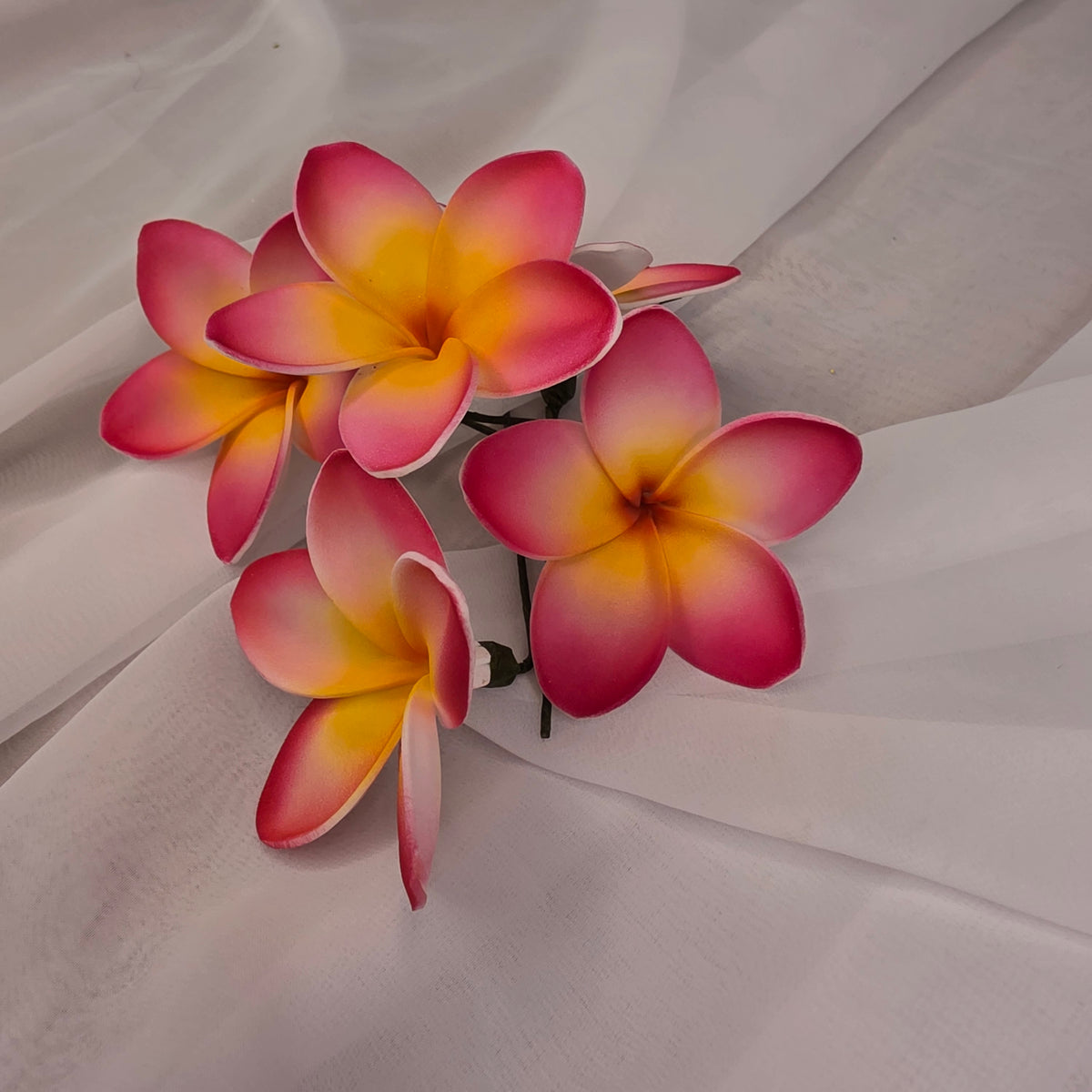 Dark Pink/White/Yellow Frangipani 7cm Flowerhead