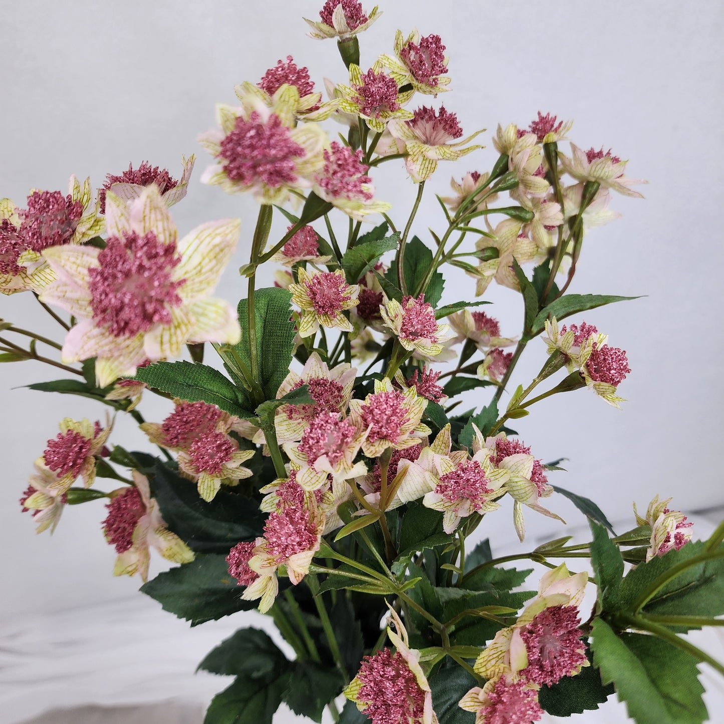 Astrania Pink - Realistic Artificial Flowers