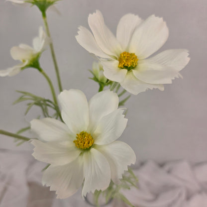 White Cosmos Spray - Realistic Artificial Flowers