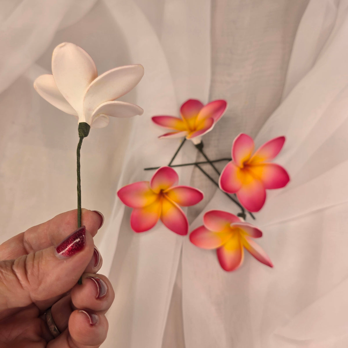 Dark Pink/White/Yellow Frangipani 7cm Flowerhead