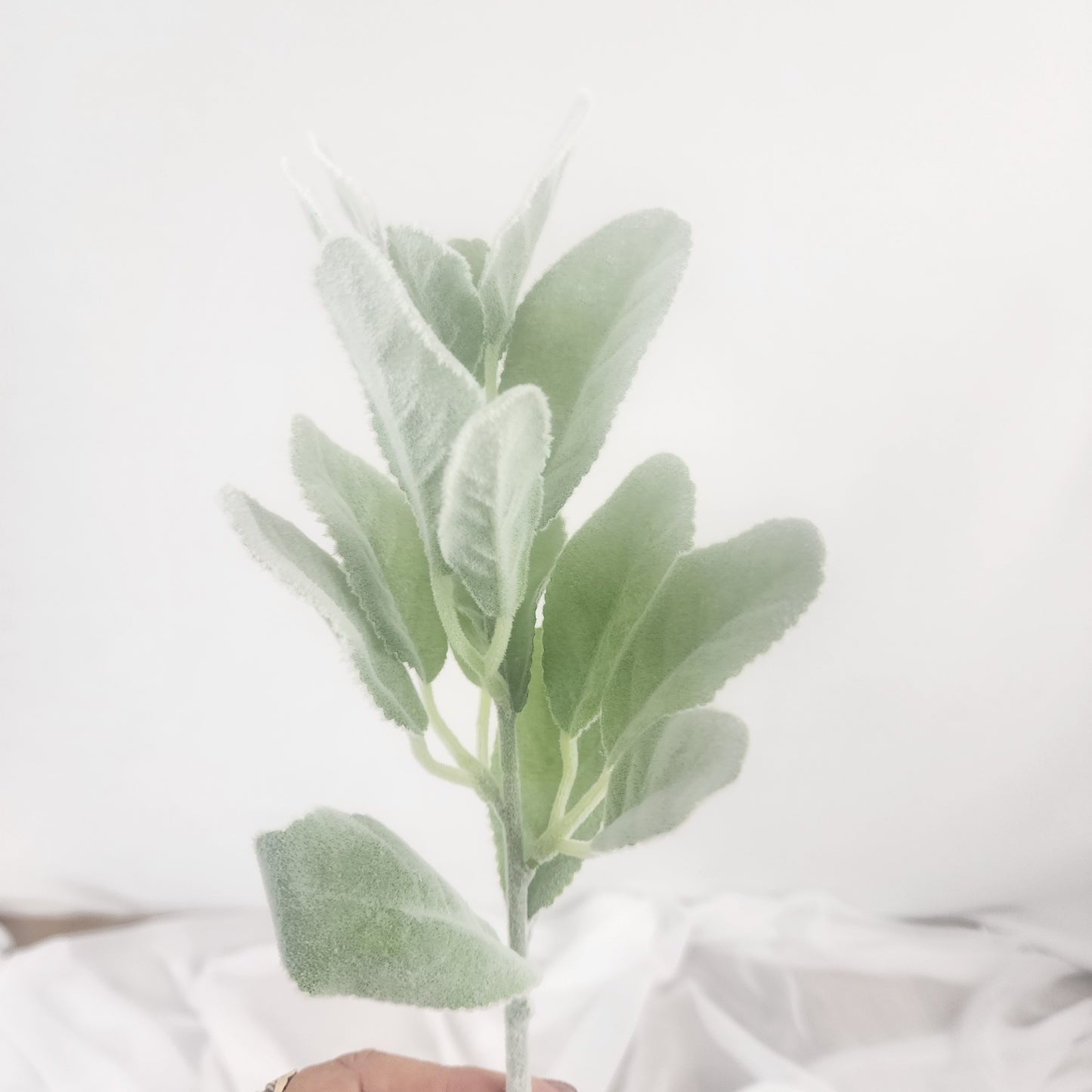 Lambs Ear /Woolly Hedgenettle Greenery -Realistic Artificial Greenery