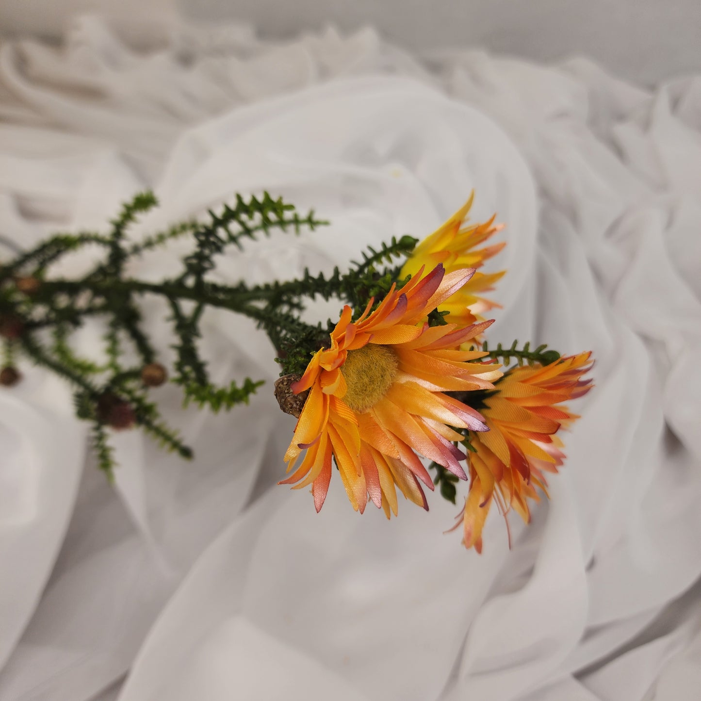Desert Daisy Orange- Kaaps Flower , Realistic Artificial Flowers