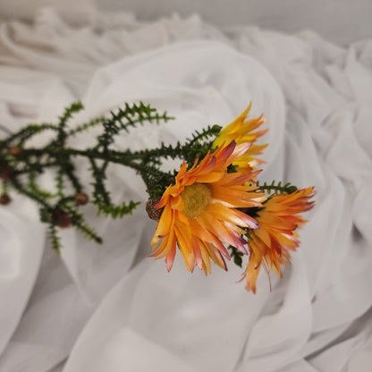 Desert Daisy Orange- Kaaps Flower , Realistic Artificial Flowers