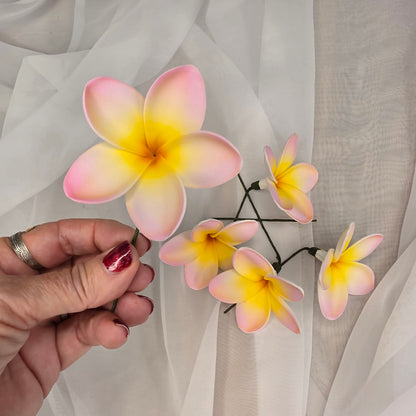 Pink/White/Yellow Frangipani 7cm Flowerhead