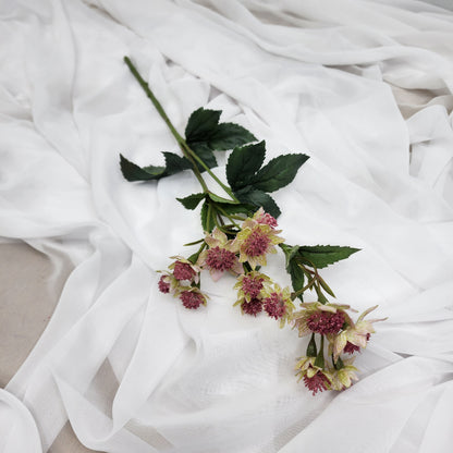 Astrania Pink - Realistic Artificial Flowers