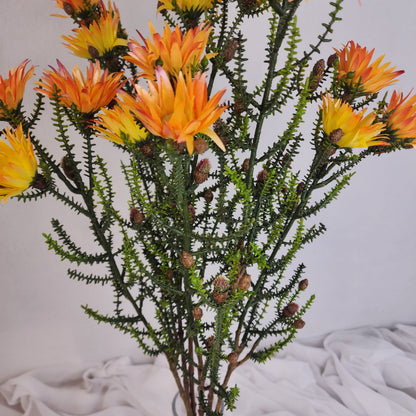 Desert Daisy Orange- Kaaps Flower , Realistic Artificial Flowers