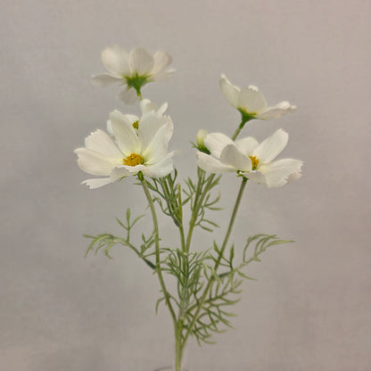 White Cosmos Spray - Realistic Artificial Flowers