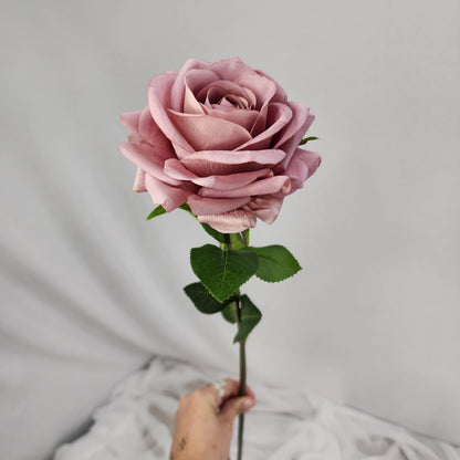 Dusty Pink Royal Real Touch Rose