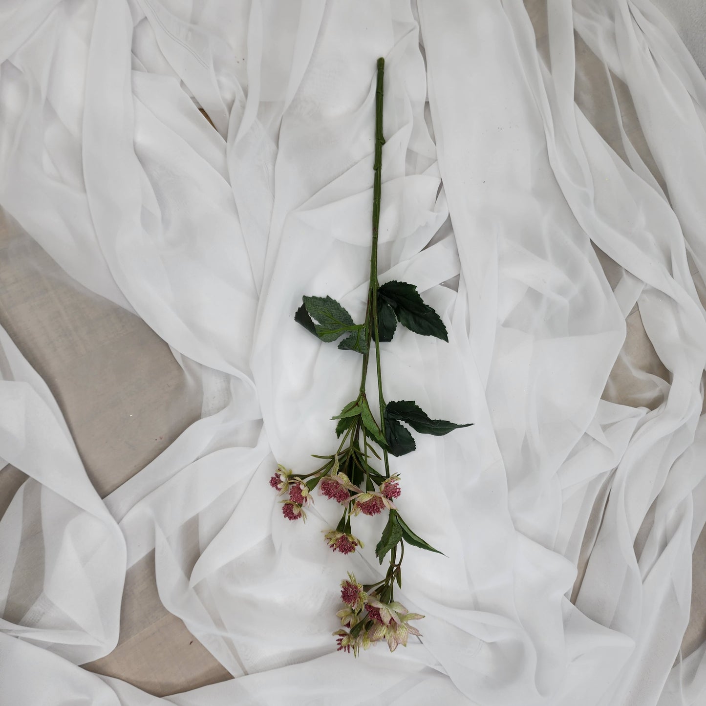 Astrania Pink - Realistic Artificial Flowers