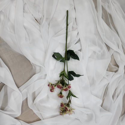 Astrania Pink - Realistic Artificial Flowers