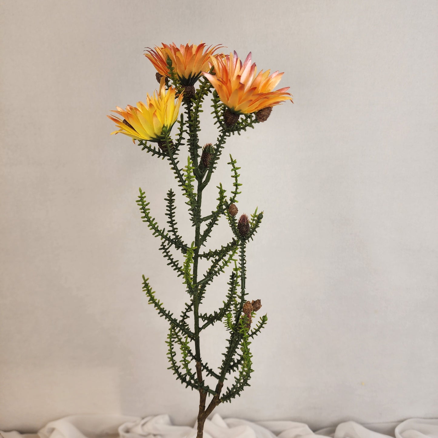 Desert Daisy Orange- Kaaps Flower , Realistic Artificial Flowers