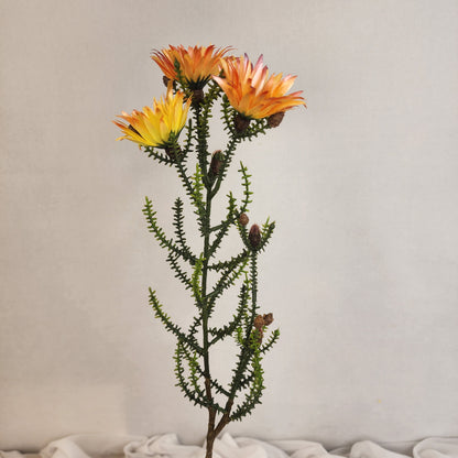 Desert Daisy Orange- Kaaps Flower , Realistic Artificial Flowers