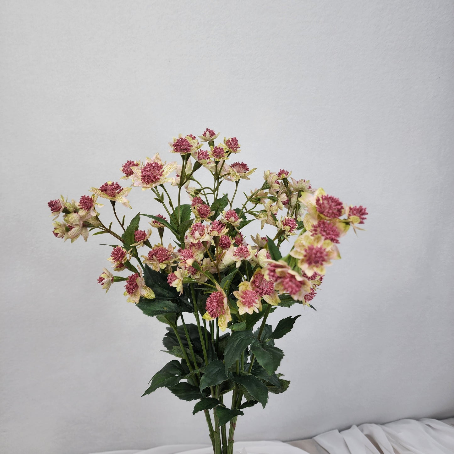 Astrania Pink - Realistic Artificial Flowers