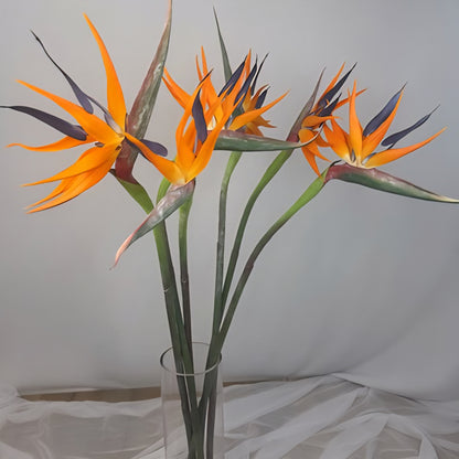Bird of Paradise - Realistic Artificial Flowers