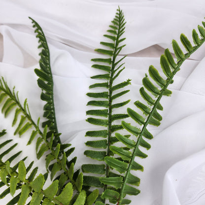 Fishbone Fern Small - Real Touch Greenery