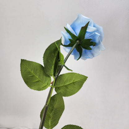 Ice Blue Royal Real Touch Rose