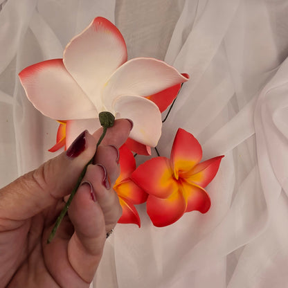 Coral and Yellow Frangipani 11.5cm Flowerhead