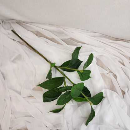 Hydrangea Leaf Spray