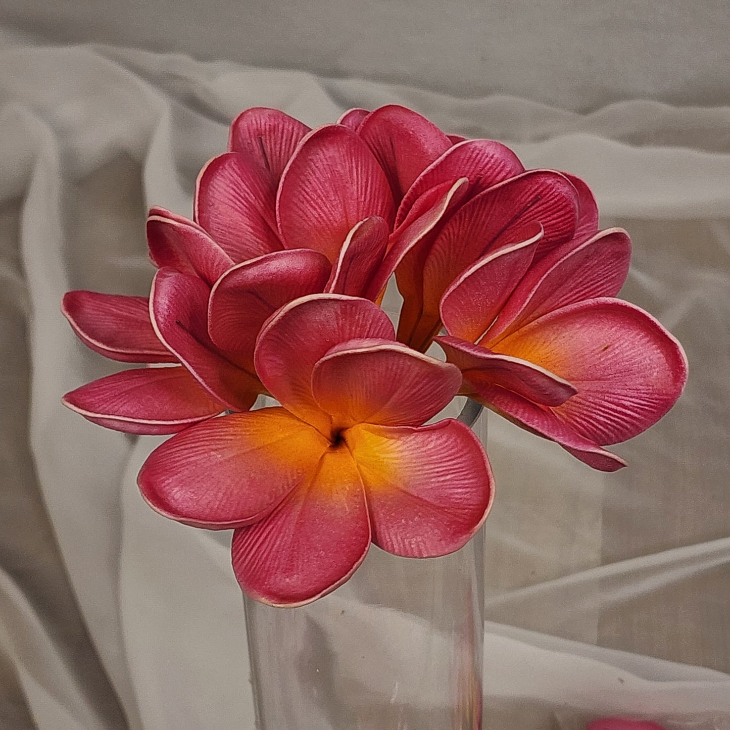 Fiji Frangipani Flowerhead ( 6 Pack )