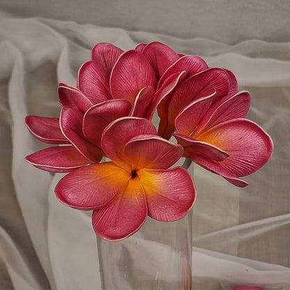 Fiji Frangipani Flowerhead ( 6 Pack )