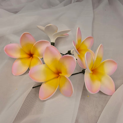 Pink/White/Yellow Frangipani 7cm Flowerhead